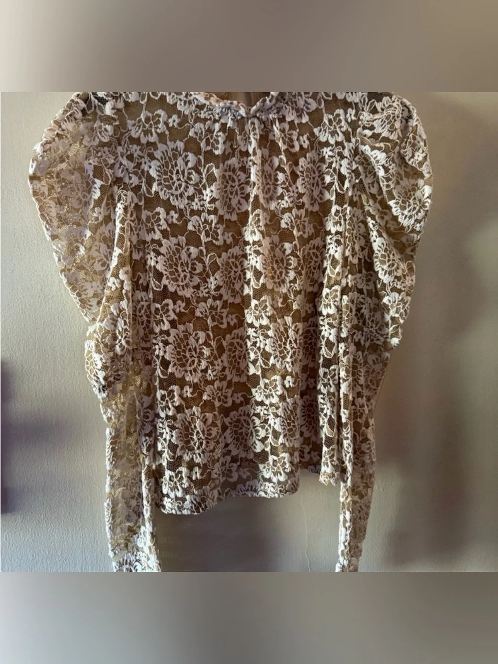 Anthropologie Lace Floral Long-Sleeve Sheer Top - Cream